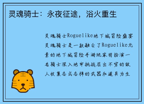 灵魂骑士：永夜征途，浴火重生